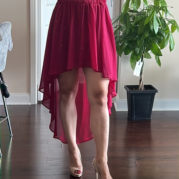 Maroon Lush Skirt - Picture 4 of 4